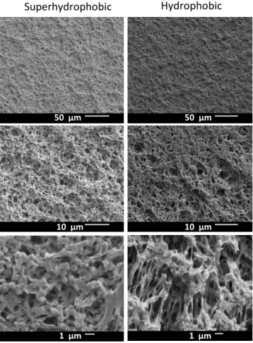Figure 6.  SEM images of MD membrane surface. The coating layer of PPFDA deposited by iCVD on the membranes does  not significantly decrease porosity, and does not drastically change the membrane surface structure