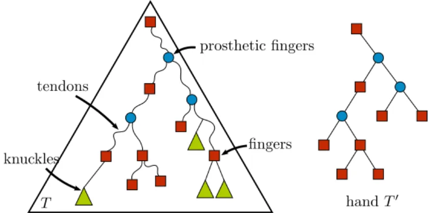 Fig. 1: A tree T with a set of fingers, and the corresponding hand structure.