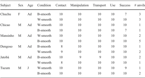 Table 1 Performance of each subject in the B-smooth condition (in which the smooth stone is black) and in the W-smooth condition (in which the smooth stone is white)