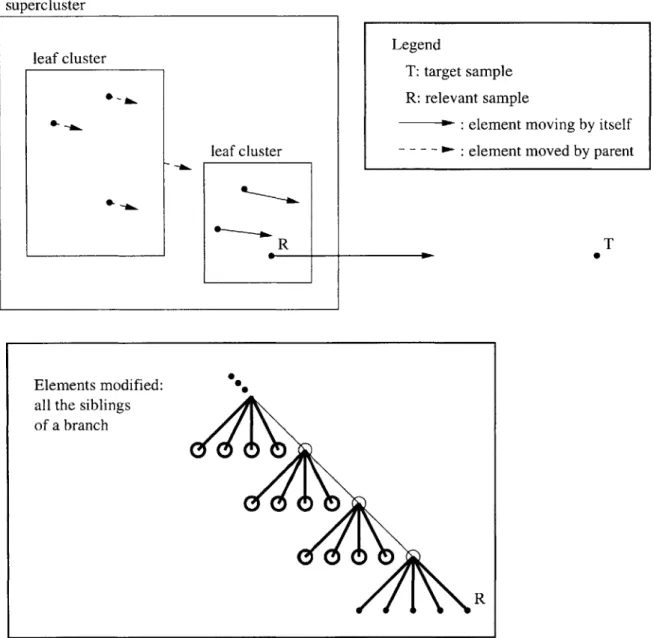 Figure  3-3:  Learning  Illustration:  Generalization  Variantsupercluster