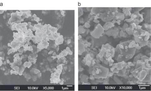 Fig. 1. FEG-SEM micrographs of (a) AlN powder, and (b) TiN powder.