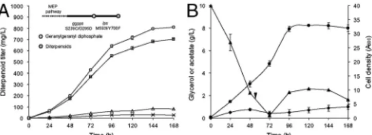 Fig. 5. Cultivation of the E. coli strain overexpressing the MEP pathway and the “ reprogrammed ” plant-derived pathway constituting GGPPS S239C/