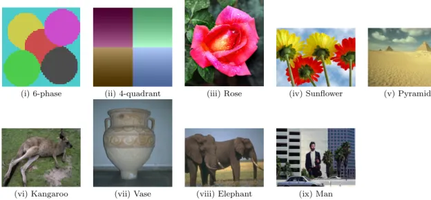 Fig. 3 Images used in our tests.