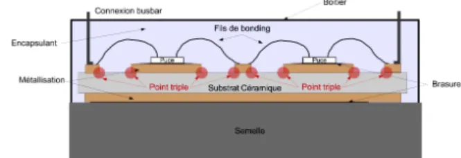 Figure 1 : Représentation schématique d'un module de puissance et  localisation de points triples 