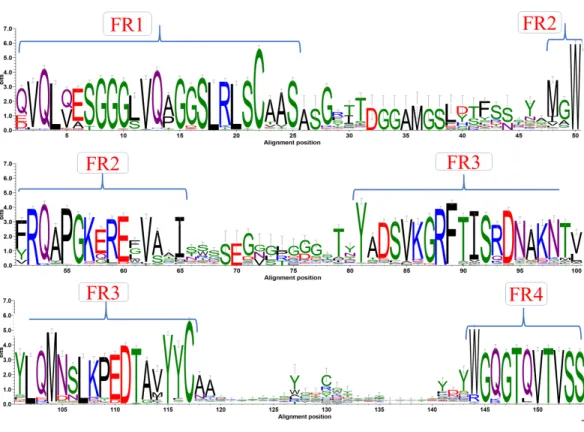 Figure 2 Sequence conservation. Sequence logo representation of multiple sequence alignment of com- com-plete dataset of V H H sequences