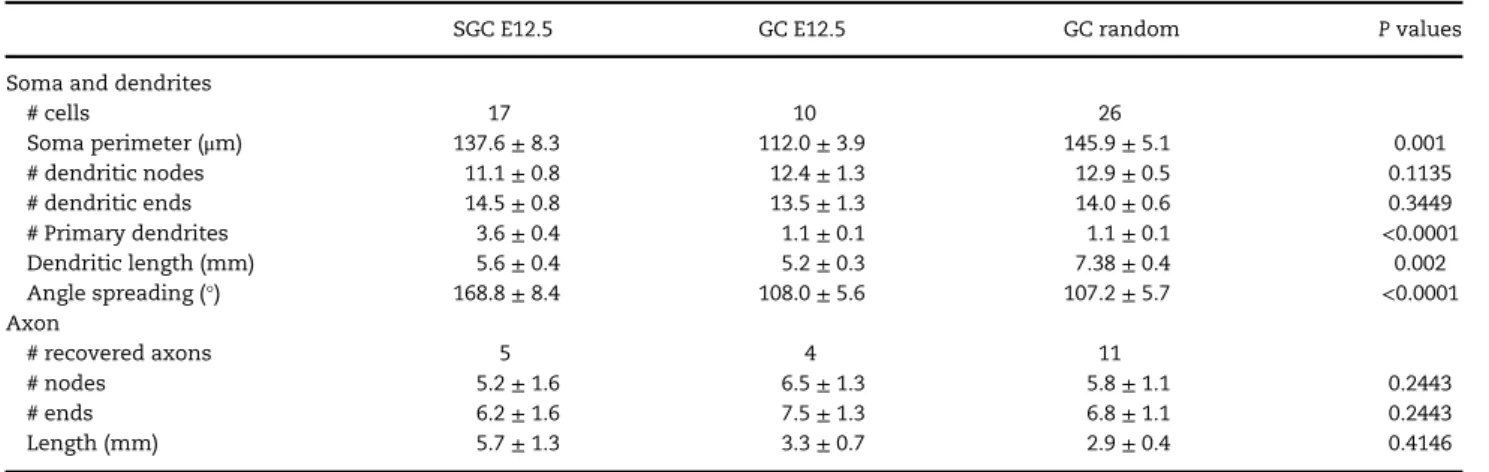 Table 2 Morphological properties of SGC or GC in young adult