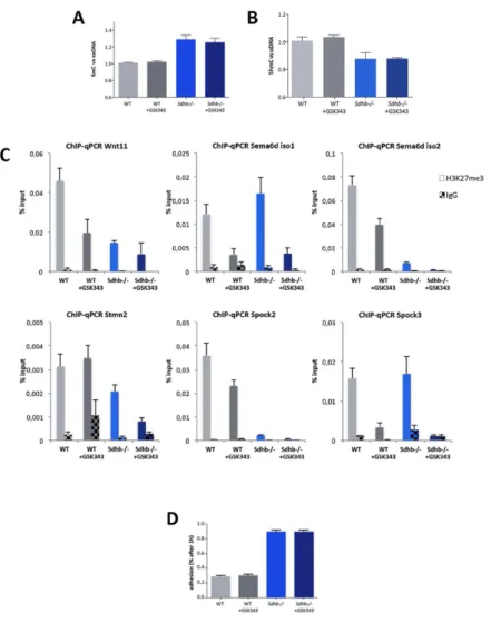 Figure S2. Related to Figure 2. Effects of PRC2 inhibition in imCC. A, B, Quantification of global 5mC and  5hmC levels by ELISA in cells treated with 3µM GSK343 or vehicle for 5 to 7 passages (mean of 3 experiments  + SEM)