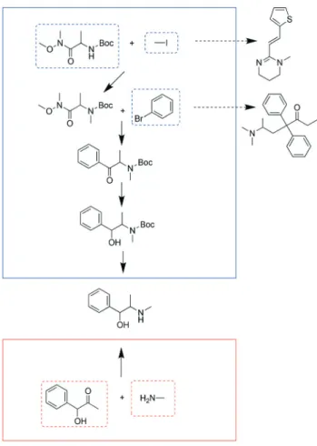 Fig. 5 Comparison of syntheses of ephedrine in the combined analysis (blue box) and the separate analysis (red box)