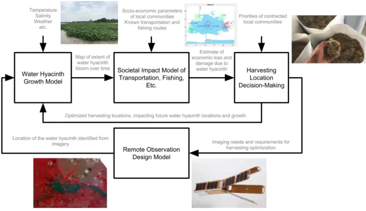 Figure 5. Environment - Vulnerability - Decision - Technology Model (Water Hyacinth Case)