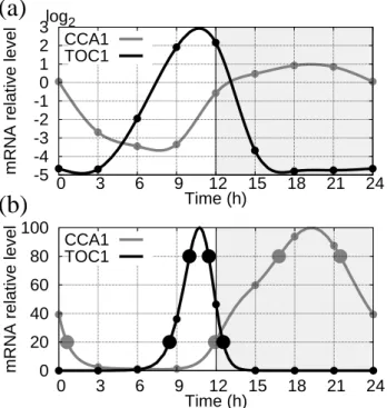 FIG. 1: Construction of RNA target profiles as functions of Zeitgeber Time (ZT) describing phases within the dark/light cycle, with time ZT0 corresponds to dawn and time ZT12 to dusk