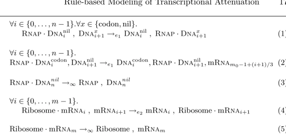 Table 5. Rules for concurrent elongation (n steps), where the transcribing Rnap adds one new codon to the solution every three Dna nucleotides.