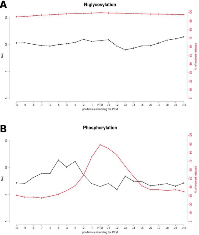 Figure 2. Neq profile for N-glycosylation and phosphorylation sites. The N eq  profile is shown  in  black  in  the  vicinity  of  N-glycosylation  (A)  and  phosphorylation  sites  (B)