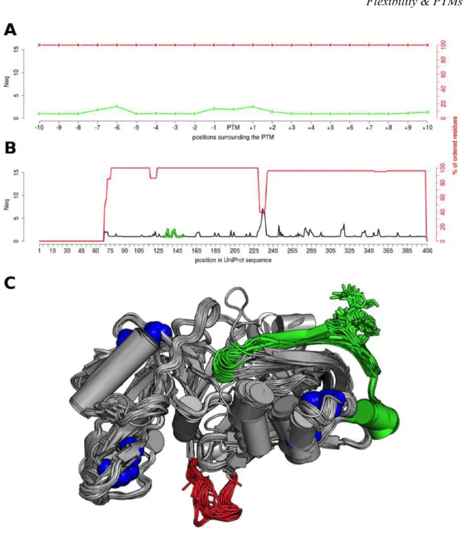 Figure 3. N-glycosylation on the Asn141 of the human renin endopeptidase (P00797) The N eq