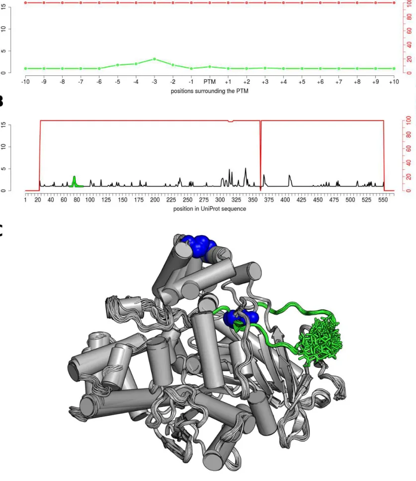 Figure  S4.  Structural  Analysis  of  Carboxylesterase  1.  A)  The  Neq  profile  of  the  N-linked  Glycosylation  at  Asn  79  at  its  neighbouring  positions
