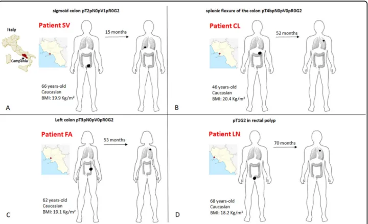 Fig. 2 Detailed clinico-pathological characteristics of patients. Schematic representation (a – d) of patients ’ geographical origin, stage at diagnosis, age, race, body mass index (BMI), localization of primary tumor, time elapsed from the initial diagnos