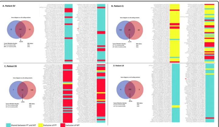 Fig. 3 Primary and metastatic tumor genes comparison. Venn Diagrams, tumor mutation burden (TMB), microsatellite instability (MSI) status (left panel) and descriptive pairwise comparison heatmap of all coding genetic variants of strong or potential/unknown