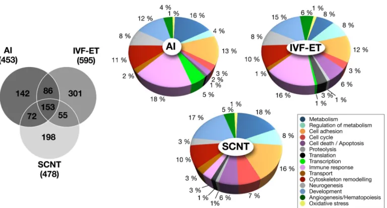Fig. 2. Analysis of the bovine microarray data for the endometrial caruncles [C] versus intercaruncular areas [IC] paired comparisons in AI, IVF-ET and SCNT pregnancies at implantation