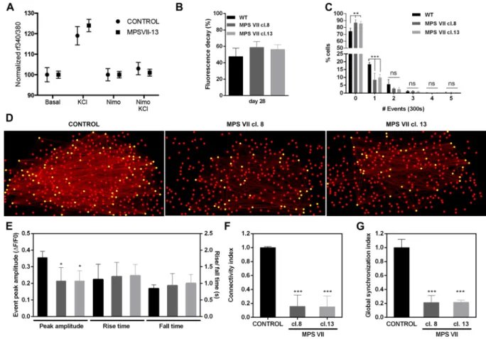 Figure 9.  MPS VII neuronal activity and MPS VII neurospheroids calcium (Ca ++ ) imaging analysis