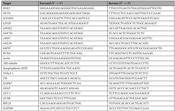 Table 1.  Primer sequences.