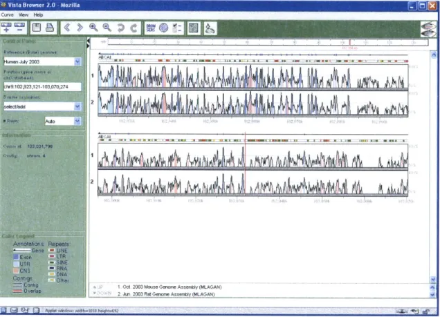 Figure 4:  Vista Genome  Browser. 4