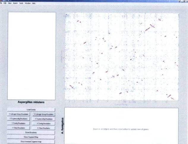 Figure  7:  Prototype Comparative  Viewer's dot plot view  of the alignments  between  Aspergillus  nidulans77