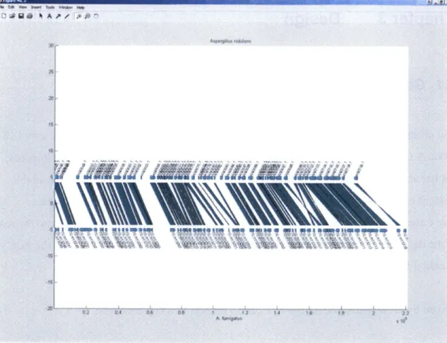 Figure 9:  Prototype  Comparative  Viewer's  alignment  graph  view of the same region  as in Figure  8.9