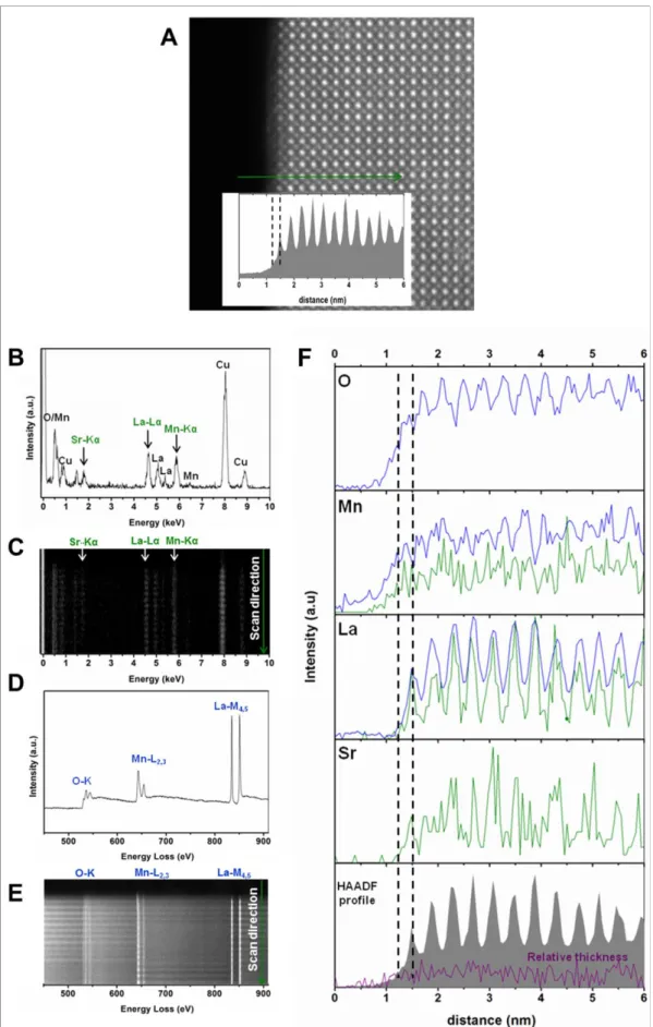 Figure S7.  Electron  microscopy  study  of  LSMO  nanocrystals:  STEM-EELS-EDS  analysis  of  the  La:Sr:Mn  composition