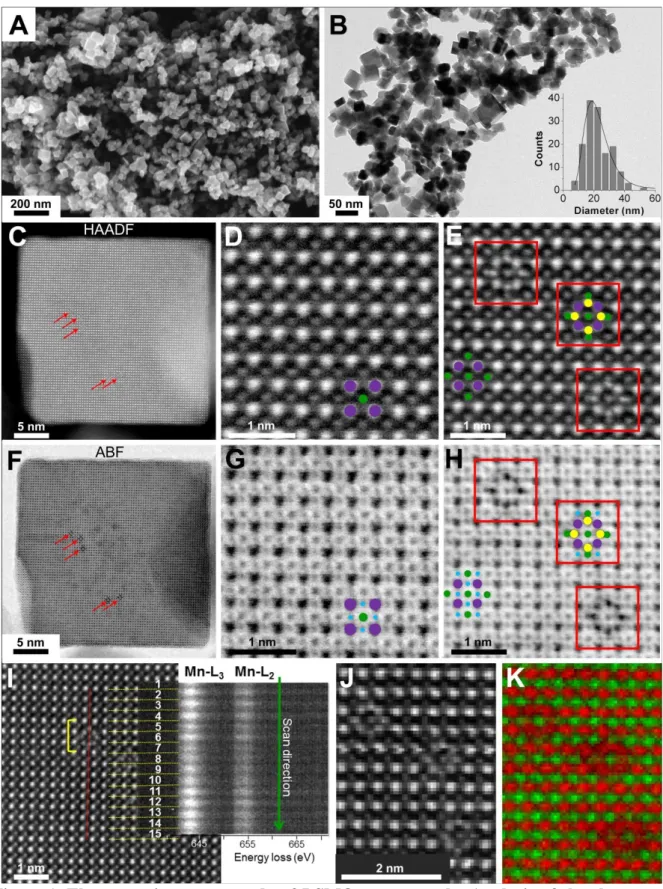 Figure 1. Electron  microscopy study of LSMO nanocrystals: Analysis of the shape and  the  particles  core