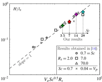 FIG. 4: Ratio H/l s of nose height to salinity interface thickness as function of V p Sc 1/2 /R s 