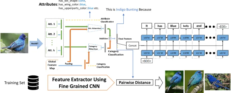 Fig. 1. EVCA generates visual explanation with classification category and also with list of attributes associated with the image