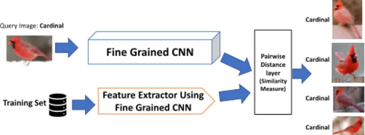 Fig. 2. The Visual Search uses the Fine Grained CNN to extract image features and to compute pairwise distances with images of the training set.