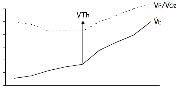 Figure 3. Ventilatory kinetics [ventilation and respiratory equivalent for oxygen ( V ! E / V ! O 2 )] during  incremental exercise prior to and after ventilatory threshold (VTh) appearance