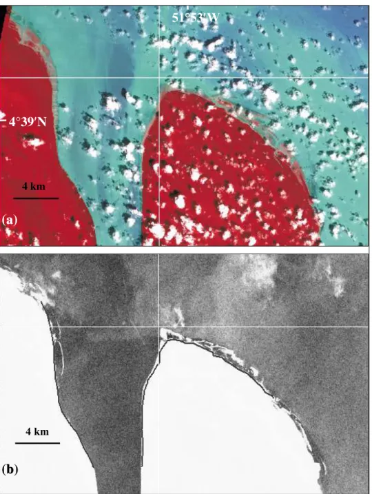 Figure 10. The potential of optical imagery in detecting mudbanks compared to that of a RADARSAT image (Approuague River to the east of Kaw): (a) ASTER image taken on 31–10–