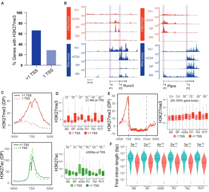 Figure 6. Polycomb Repression of Unused Promoter during Activation of Alternative Promoter