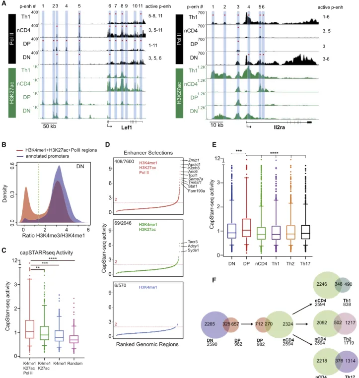 Figure 1. High Enhancer Dynamics in Developing T Cells