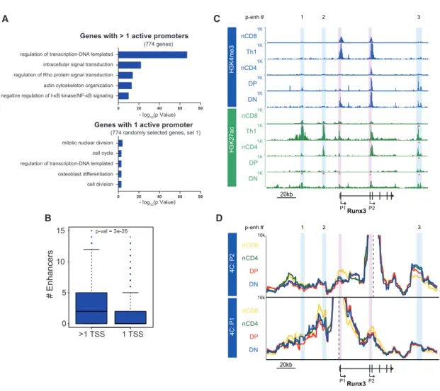 Figure 4. Alternative Promoter Usage Relates to Transition in Enhancer Usage