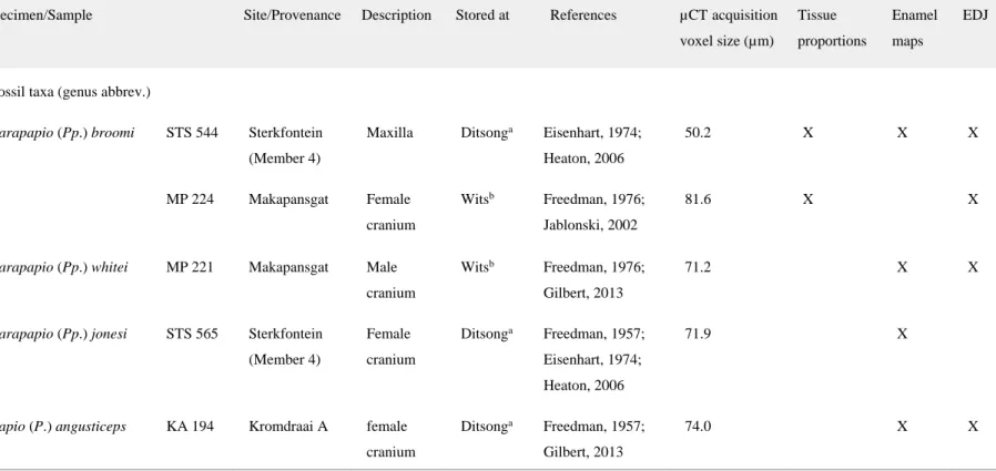 Table 2. List of the Plio‐Pleistocene and extant cercopithecoid specimens/samples detailed by X‐