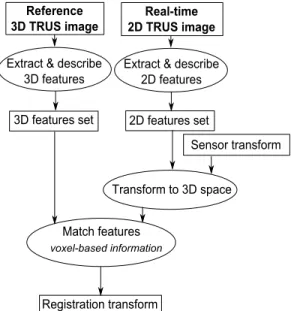 Fig. 3. (a) 2D US image (left) and its Hessian response map (right), high values are in red, small in blue