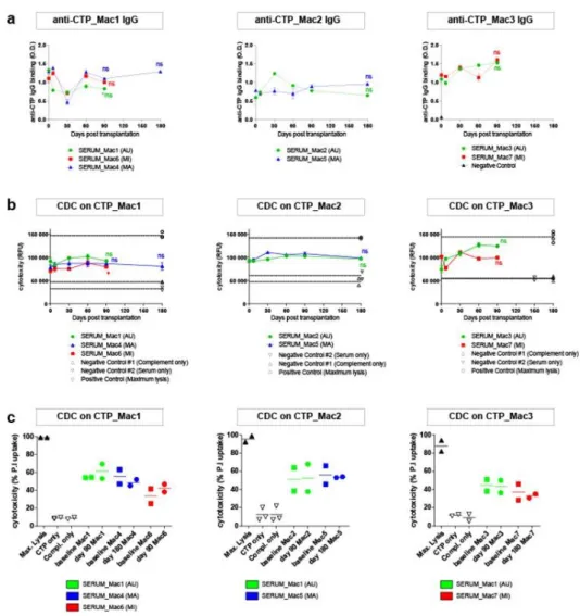 Figure 7: Detection of hemolytic CTP-specific antibodies in the serum of transplanted macaques