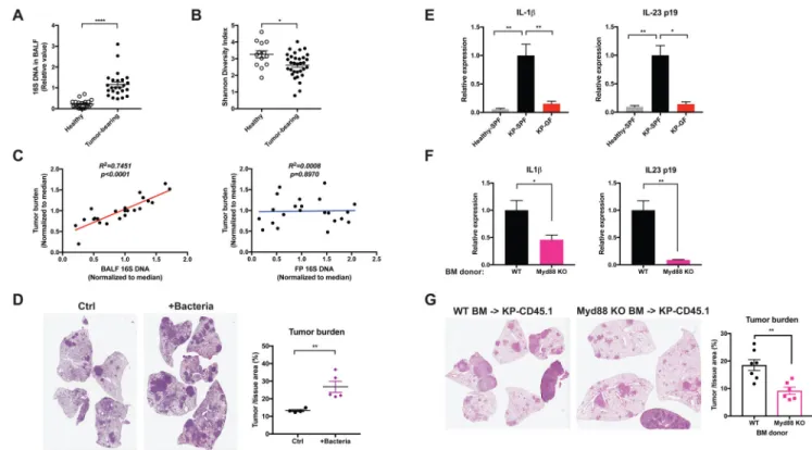 Figure 2. Lung tumor development is associated with altered local microbiota and increased pro- pro-inflammatory cytokine expression.