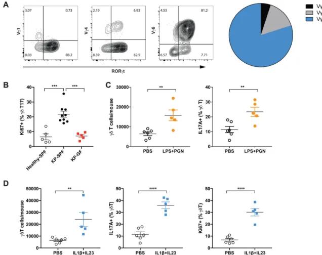 Figure 4. Commensal microbiota induce proliferation and activation of tissue-resident  V γ 6+V δ 1+ T cells.
