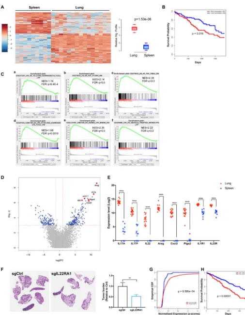 Figure 7. γδ T cells associated with lung tumors exhibit a distinct transcriptional profile.