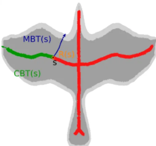 Figure 5: Depth functions at 3D curve skeleton point s: curve burn time CBT(s), medial burn time MBT(s) and radius R(s)
