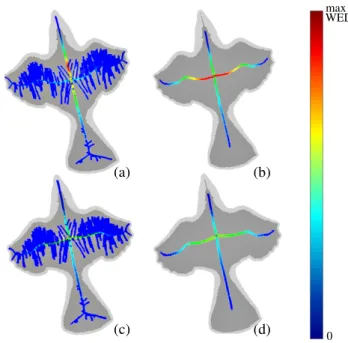 Figure 8 shows a color-coding of the WEDF function on curve skeletons for 3D objects. When the object and its curve skeleton have some symmetries, the WEDF  re-mains symmetric