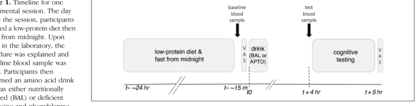 Figure 1. Timeline for one experimental session. The day before the session, participants followed a low-protein diet then fasted from midnight