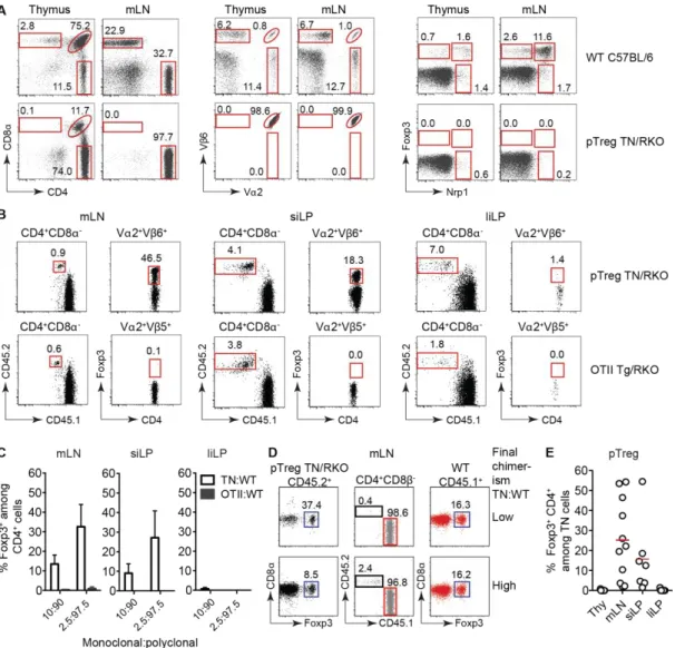Figure 2.2 Low clonal frequency of pTreg precursors allows development of Tregs. 