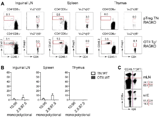 Figure 2.3 pTreg TN precursors do not facilitate development of Tregs in the thymus. 