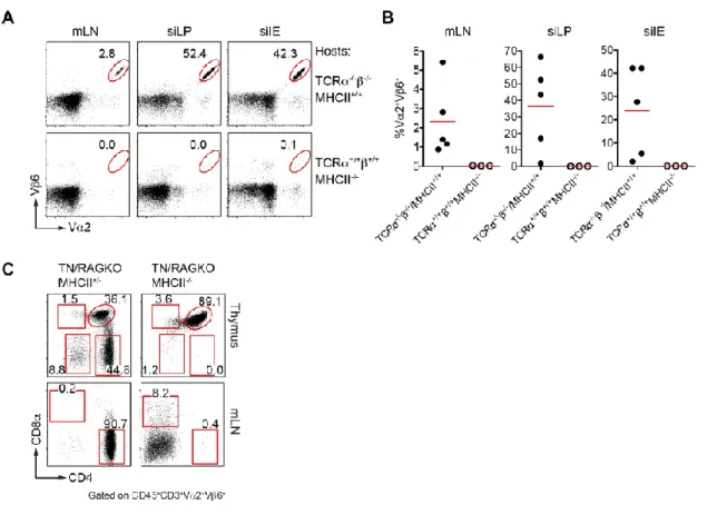 Figure 2.8 CD4 +  T cells from pTreg TN/RKO mice are MHCII-restricted. 
