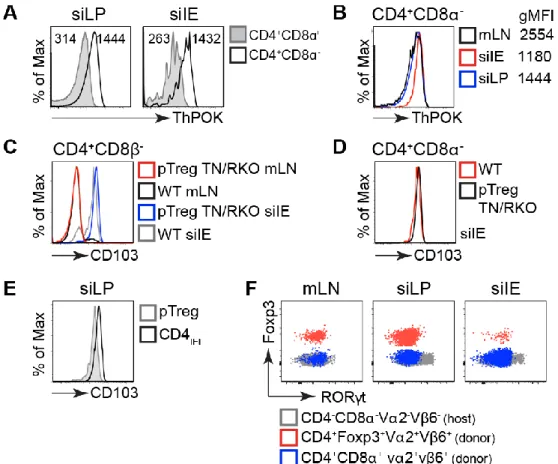 Figure 2.14 Low levels of ThPOK and high levels of CD103 in TN CD4 IEL . 