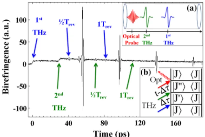 FIG. 2 (color online). (a) Seven experimental data sets illus- illus-trate THz-induced time-dependent birefringence in 180 torr OCS at 300 K for seven different delays (color-coded) between two single-cycle THz excitation pulses